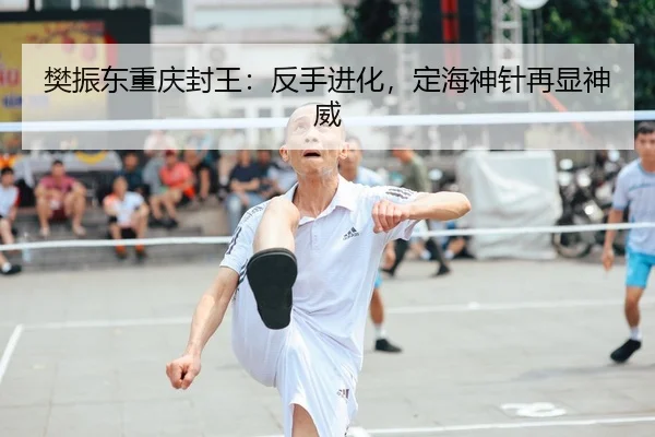 fan-zhen-dong-chong-qing-feng-wang-fan-shou-jin-hua-ding-hai-shen-zhen-zai-xian-shen-wei-2-926.jpg